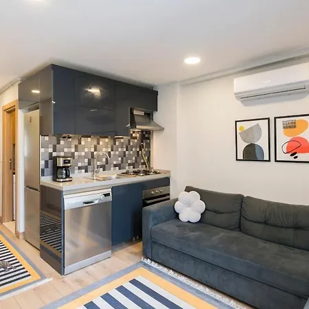 Apartamento Chic 1 Bedroom Apt Wac In Cihangir