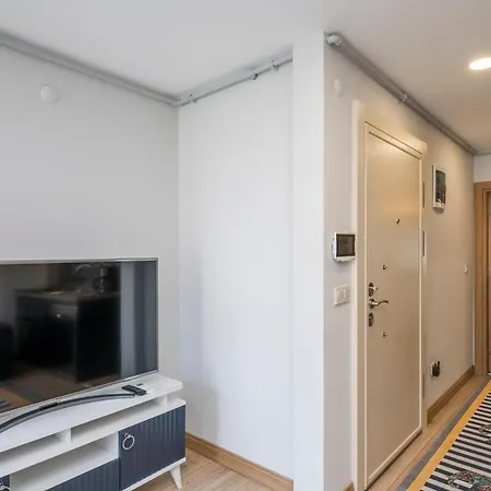 Apartamento Chic 1 Bedroom Apt Wac In Cihangir