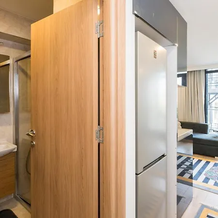 Chic 1 Bedroom Apt Wac In Cihangir *