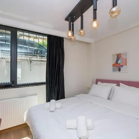 Chic 1 Bedroom Apt Wac In Cihangir Appartement